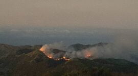 Kawasan TNBTS terbakar.