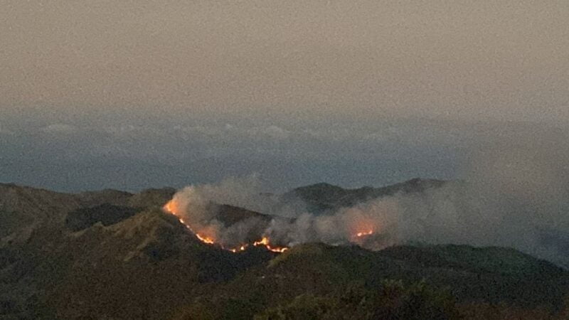 Kawasan TNBTS terbakar.