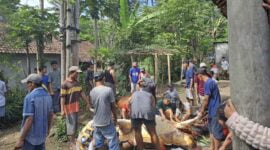 Pemotongan hewan kurban di Kabupaten Probolinggo.