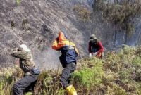 BPBD Kabupaten Probolinggo lakukan pemadaman kebakaran Gunung Batok.