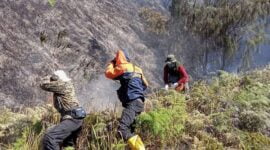 BPBD Kabupaten Probolinggo lakukan pemadaman kebakaran Gunung Batok.